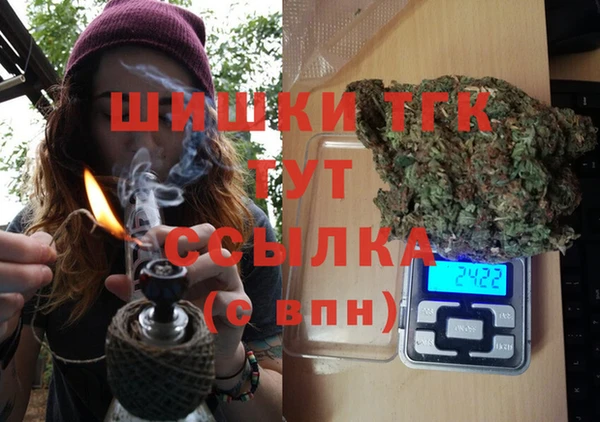 индика Арсеньев