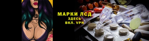 индика Арсеньев