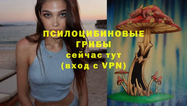 гашиш Сатка