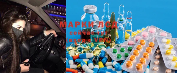индика Арсеньев