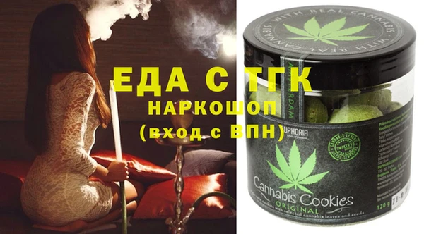 индика Арсеньев