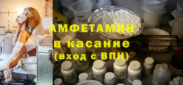 индика Арсеньев