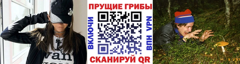 Галлюциногенные грибы GOLDEN TEACHER  Борзя 