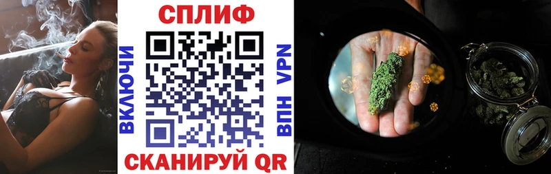 Марихуана план  Борзя 